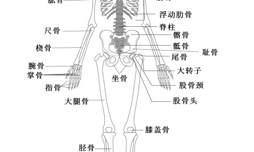 孕期补充营养的食物-权威孕期补充营养素时间表平台,分享专业孕期补充营养素的重要性知识_孕期补充营养网