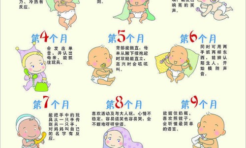 孕期补充营养的食物-权威孕期补充营养素时间表平台,分享专业孕期补充营养素的重要性知识_孕期补充营养网