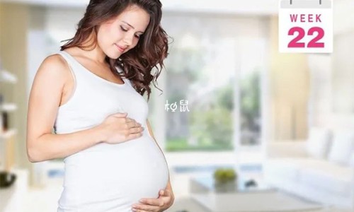 孕期补充营养时间表-权威孕期补充营养素时间表平台,分享专业孕期补充营养素的重要性知识_孕期补充营养网
